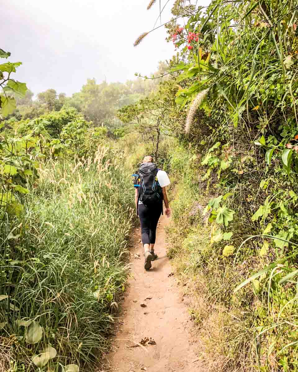 hiking santa ana volcano things to do in el salvador