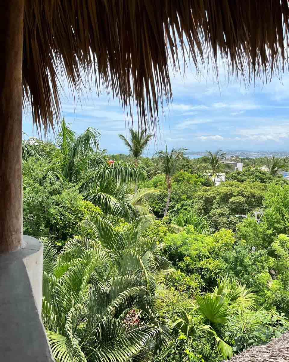 canopy and ocean view in la punta puerto escondido