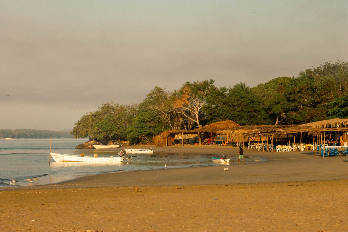 day trip to chacahua beach and mangrovesLR