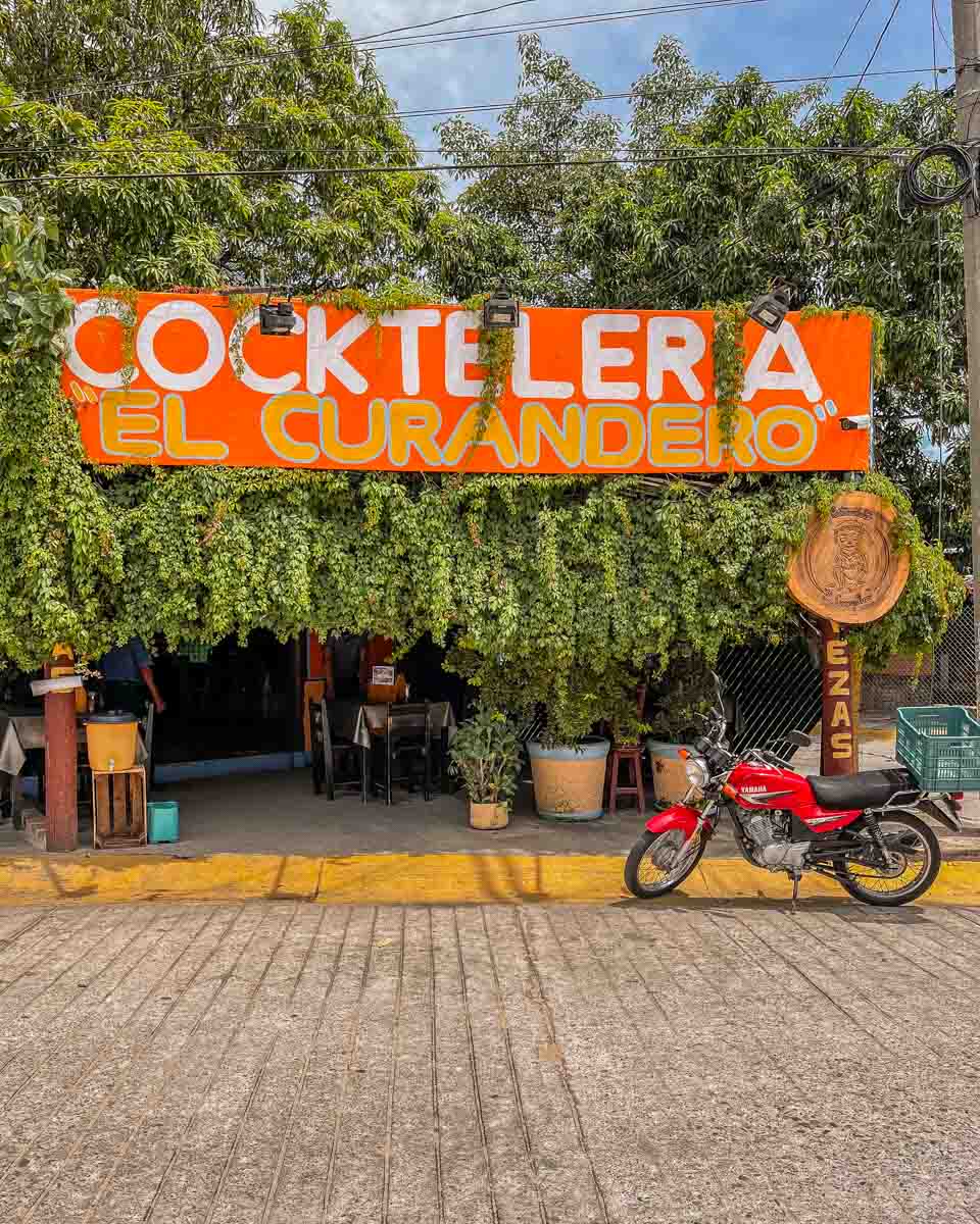 el curandero best restaurants puerto escondido