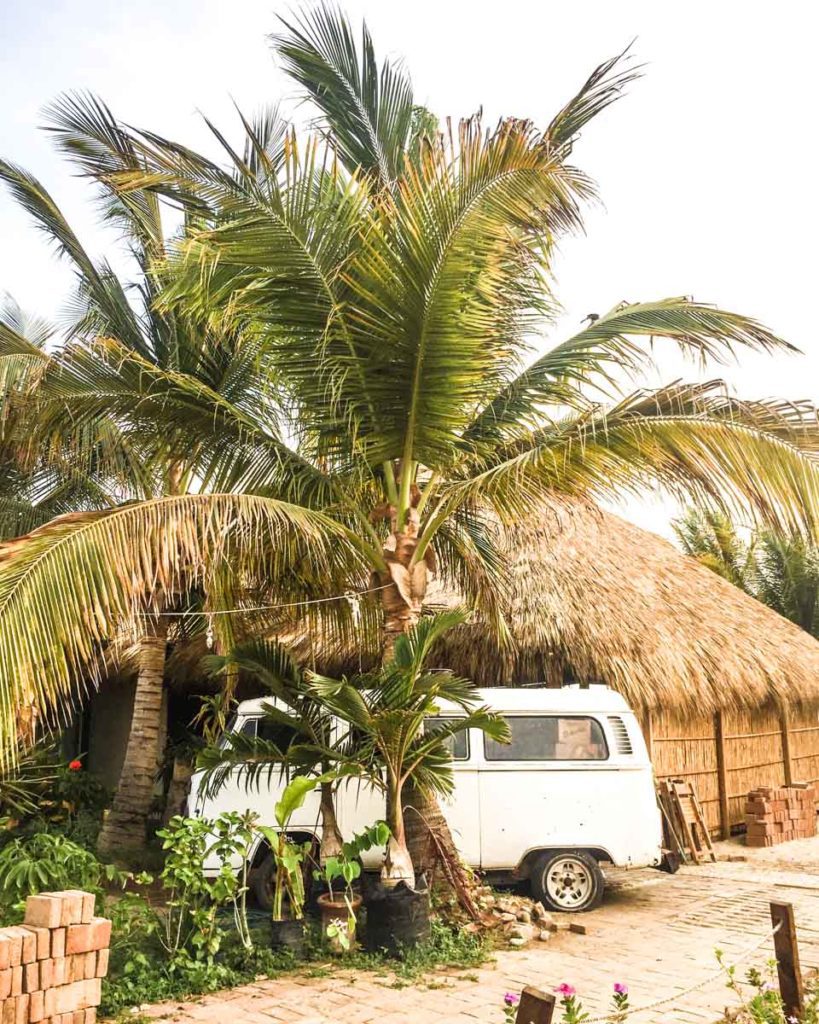 puerto escondido van and palm tree zicatela