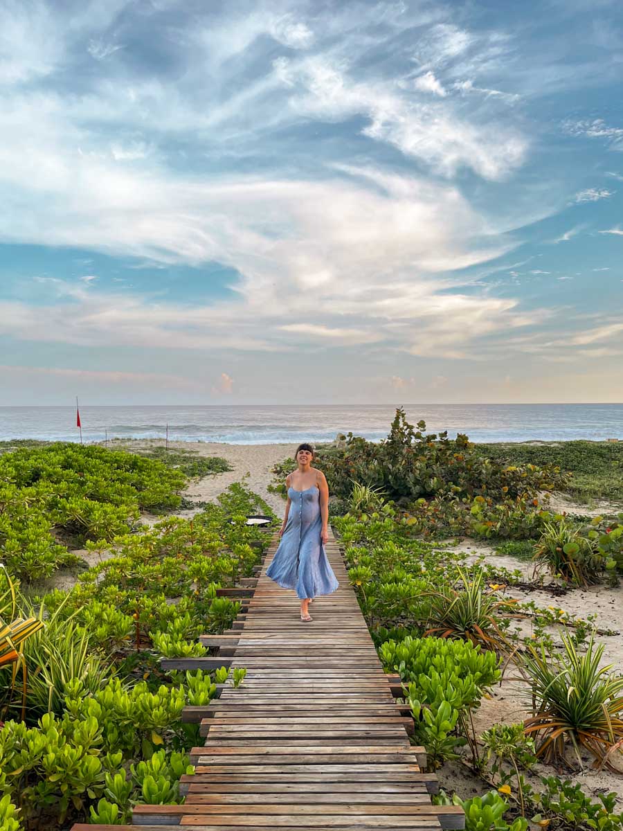 punta pajaros puerto escondido