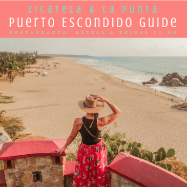 Puerto Escondido things to do in puerto escondido thumbnail