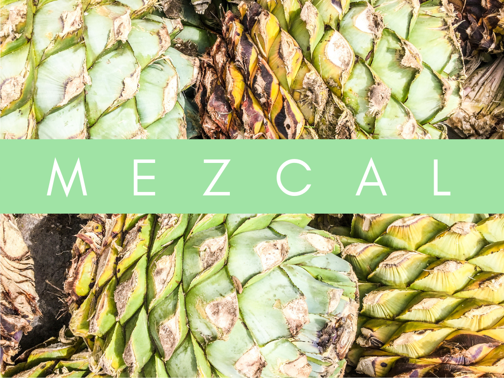 home page graphics mezcal