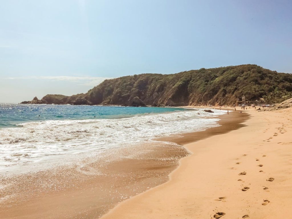 mazunte oaxaca beach travel guide