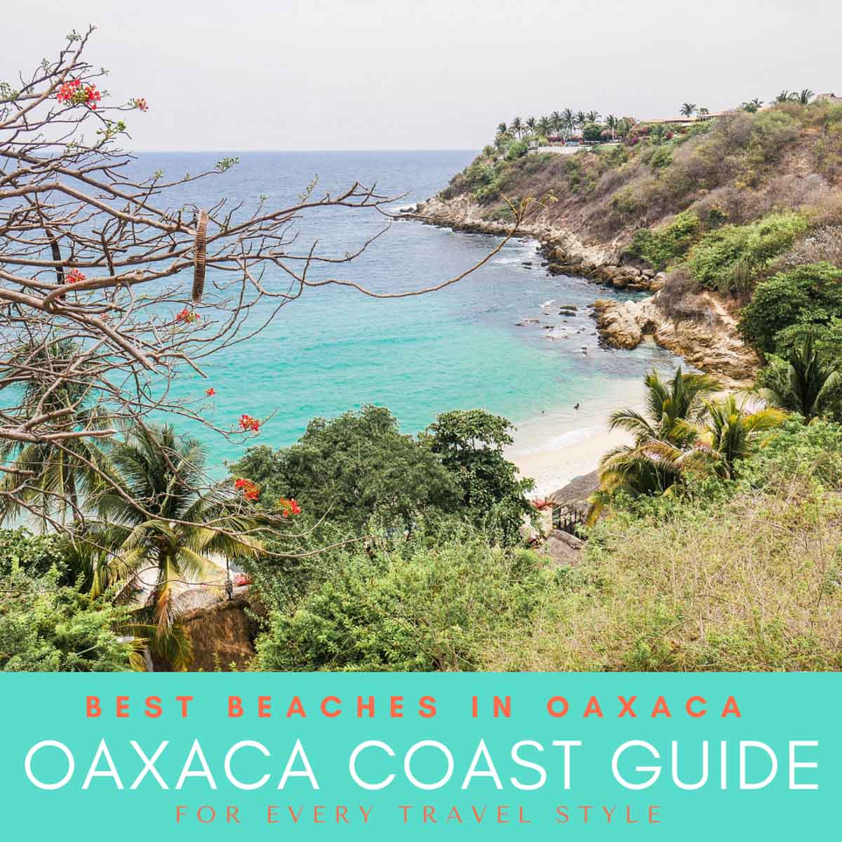 Vilje retort Optø, optø, frost tø Oaxaca Coast Guide: The Best Beaches in Oaxaca for Every Travel Style -  Brooklyn Tropicali