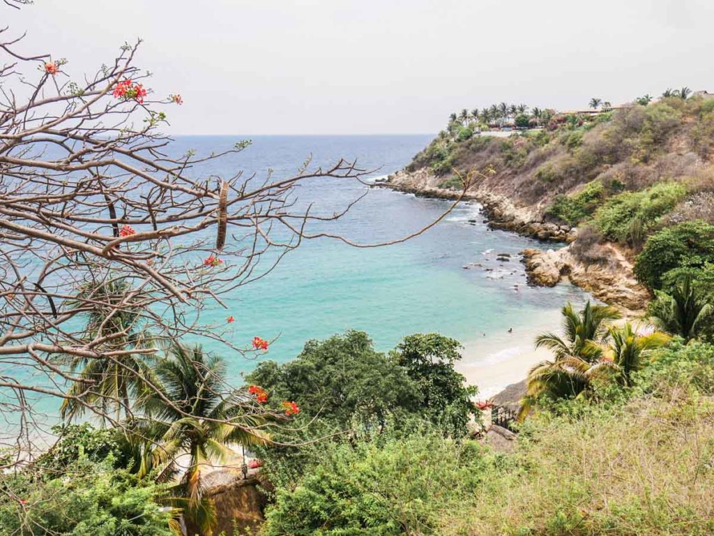 playa carrizalillo best beaches in oaxaca