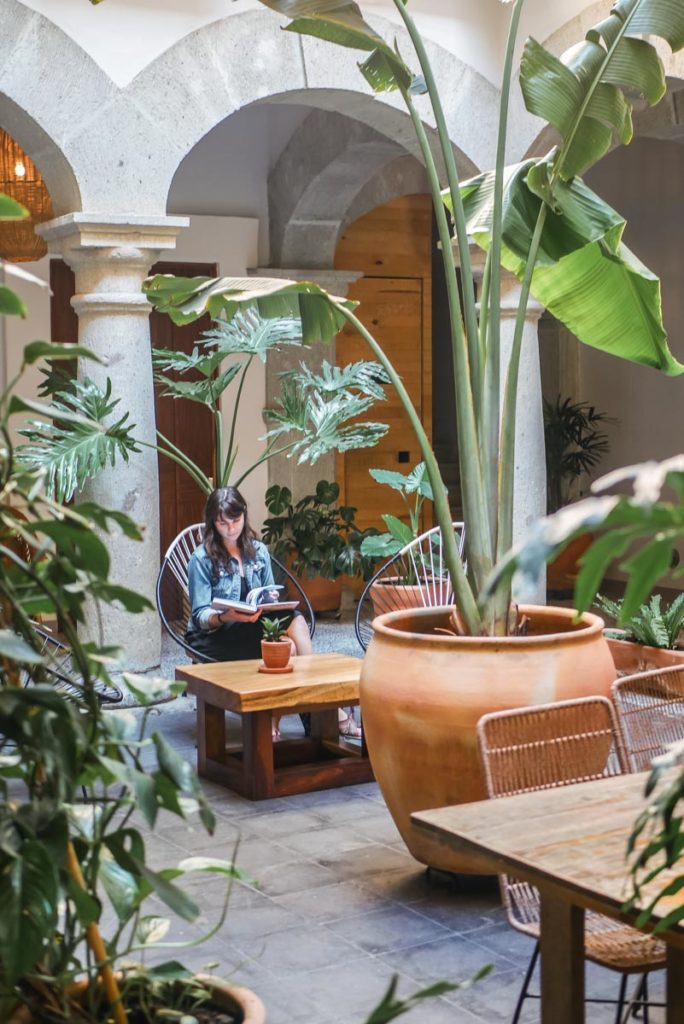 courtyard in casa antonieta boutique hotel oaxaca city