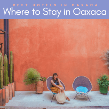 where to stay in oaxaca_ best hotels in oaxaca city copy