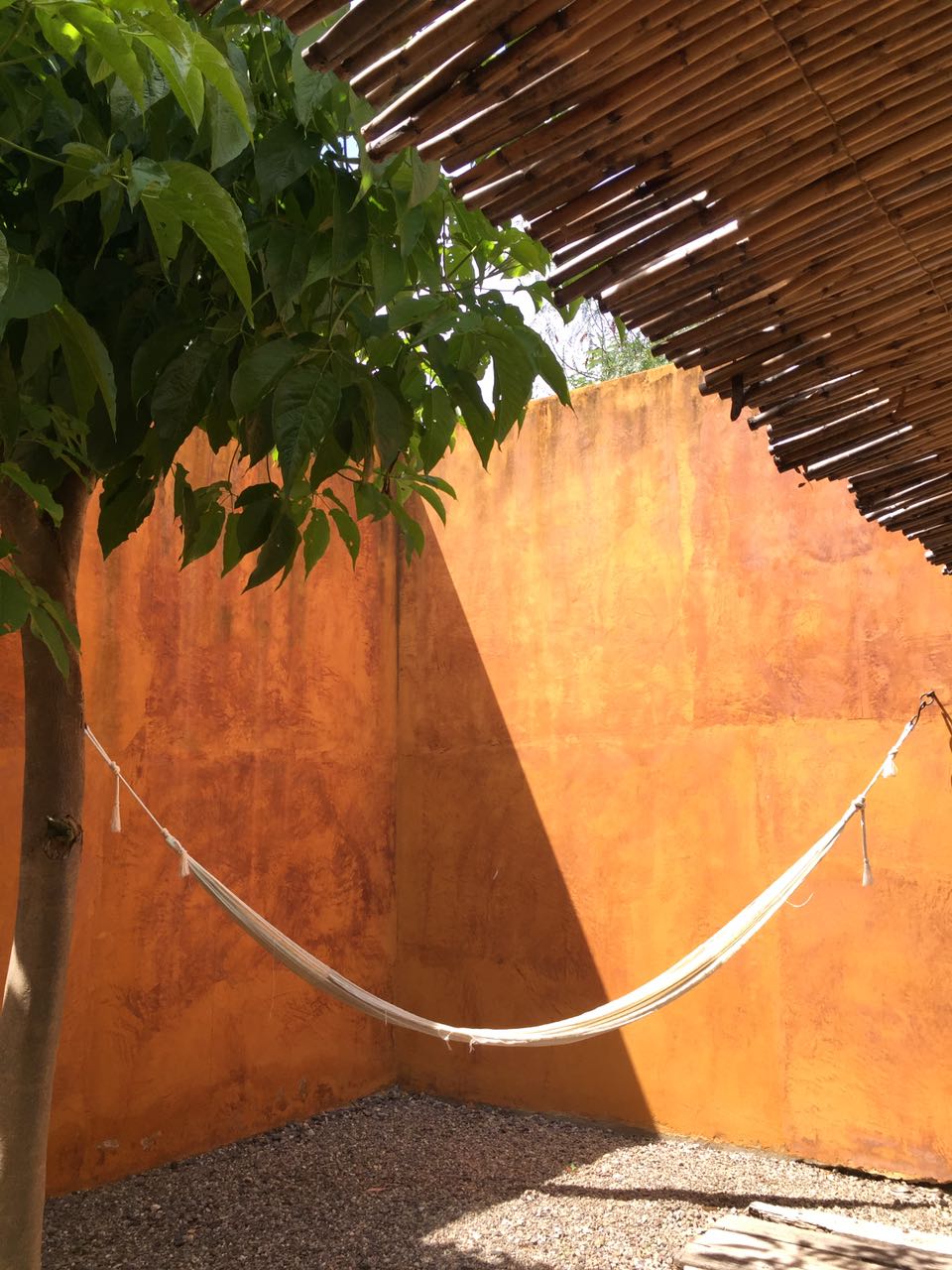 Oaxaca hammock by Luis Cardenas