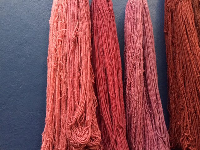 natural cochineal dyes by caitlin ahern