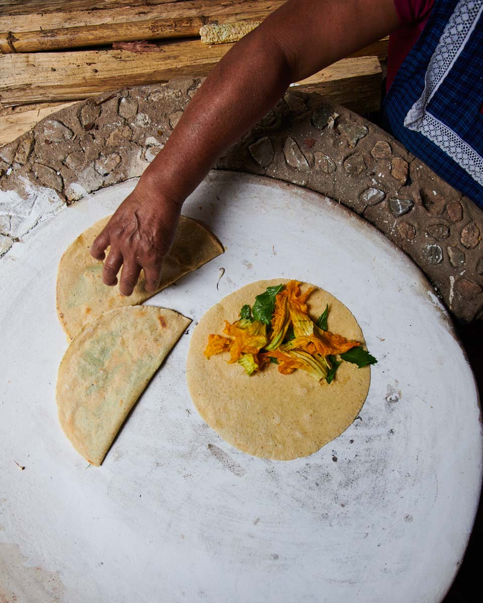 quesadillas flor de calabaza by kyle dorosz thread caravan oaxaca foodLR