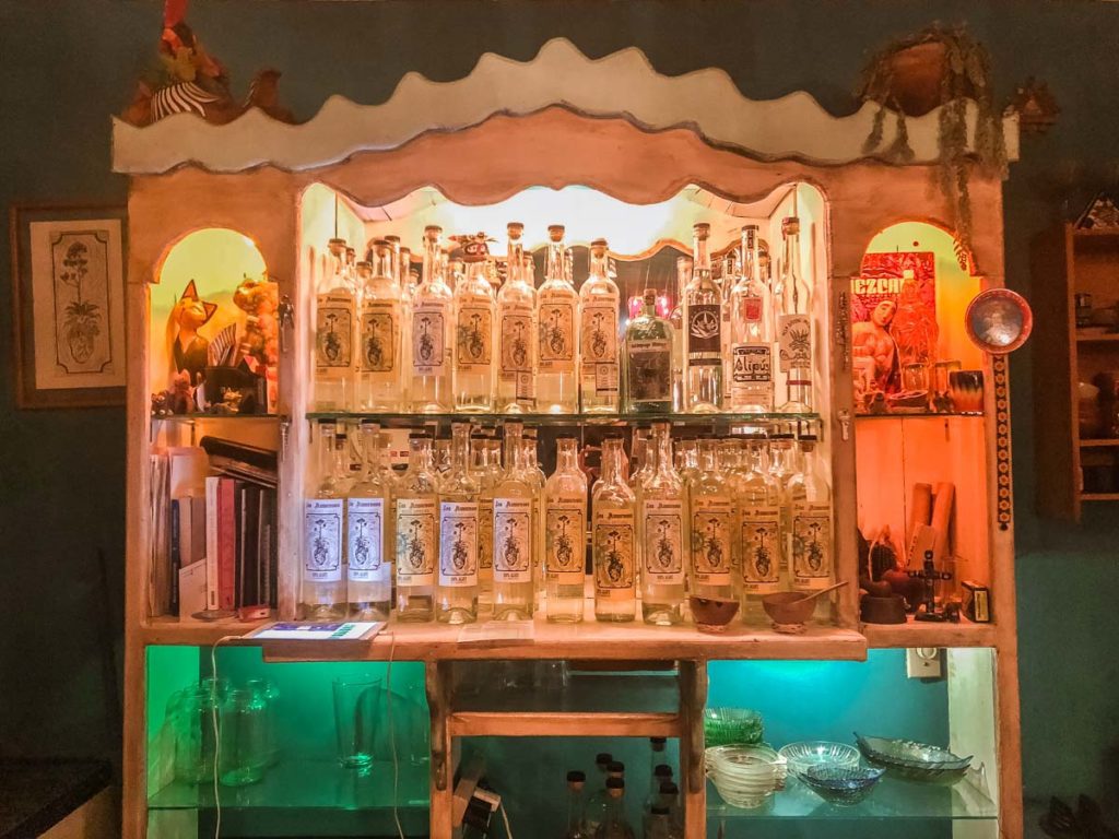 san cristobal bars puro mexicano mezcaleria