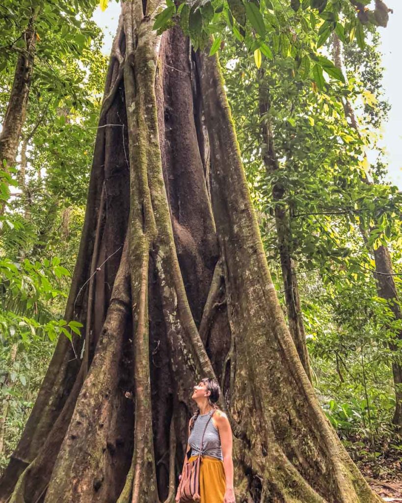 palenque hiking motiepa