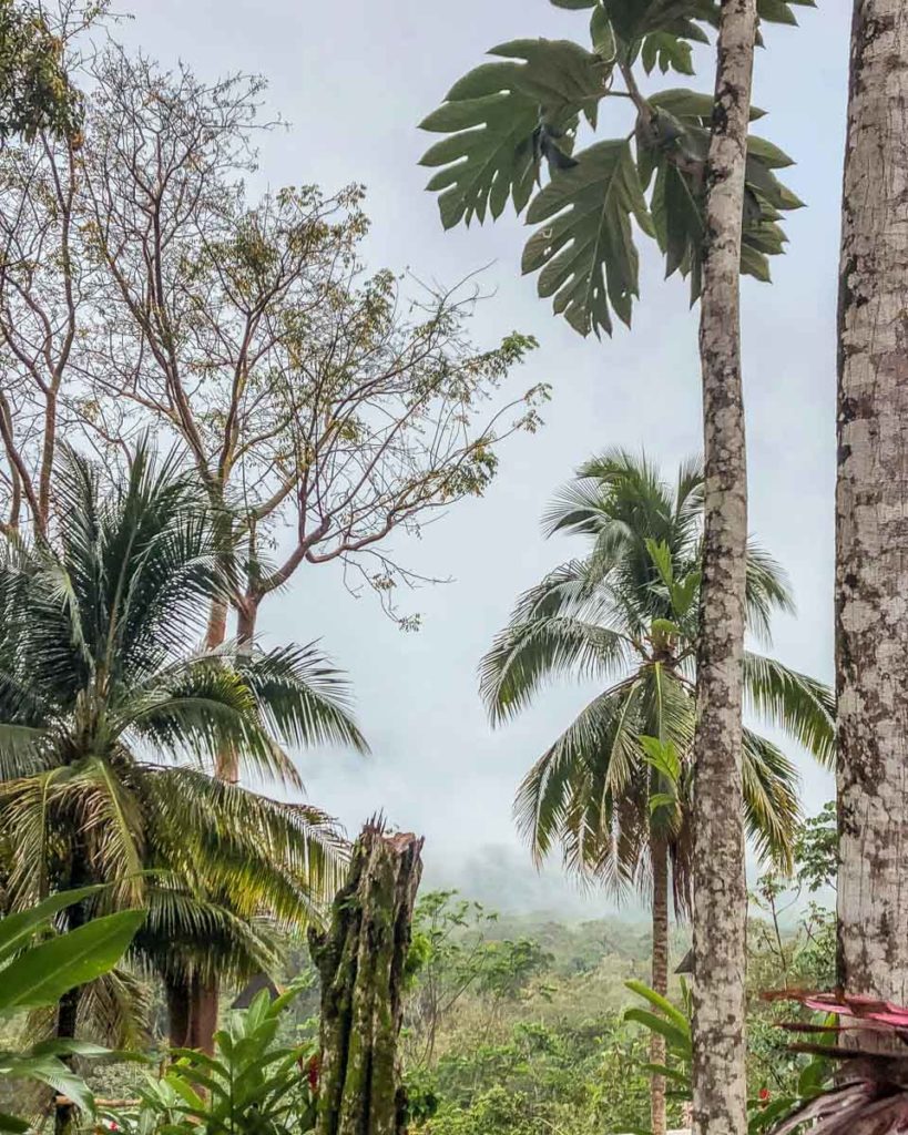 palenque hotels in the jungle casa lakyum