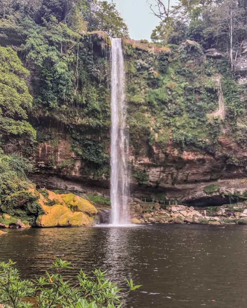 tours a palenque desde san cristobal