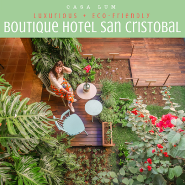 thumb boutique hotel san cristobal chiapas casa lum