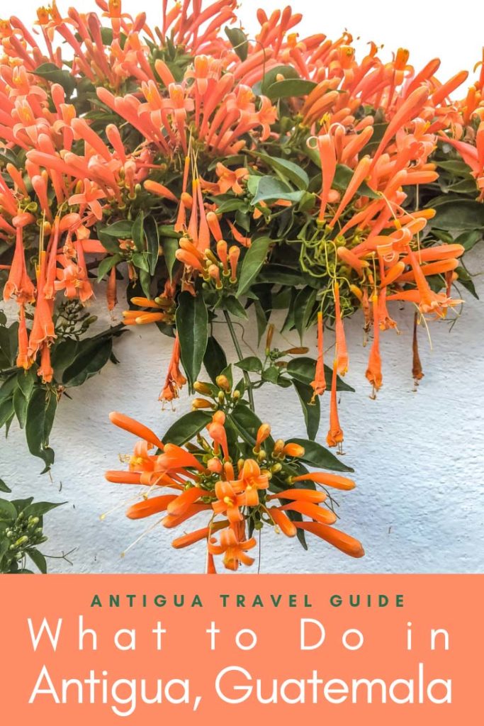 antigua travel guide_ what to do in antigua pinterest 3 copyLR