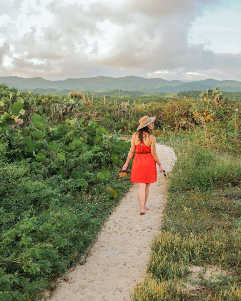 jungle path to casitas by the sea