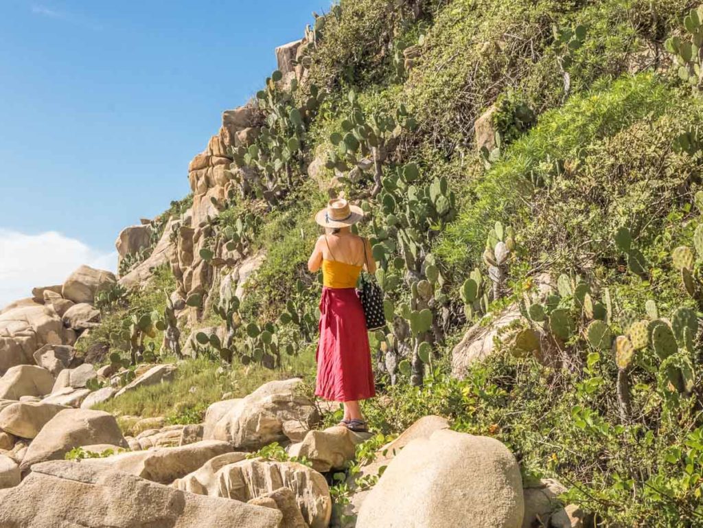 oaxaca coast nature