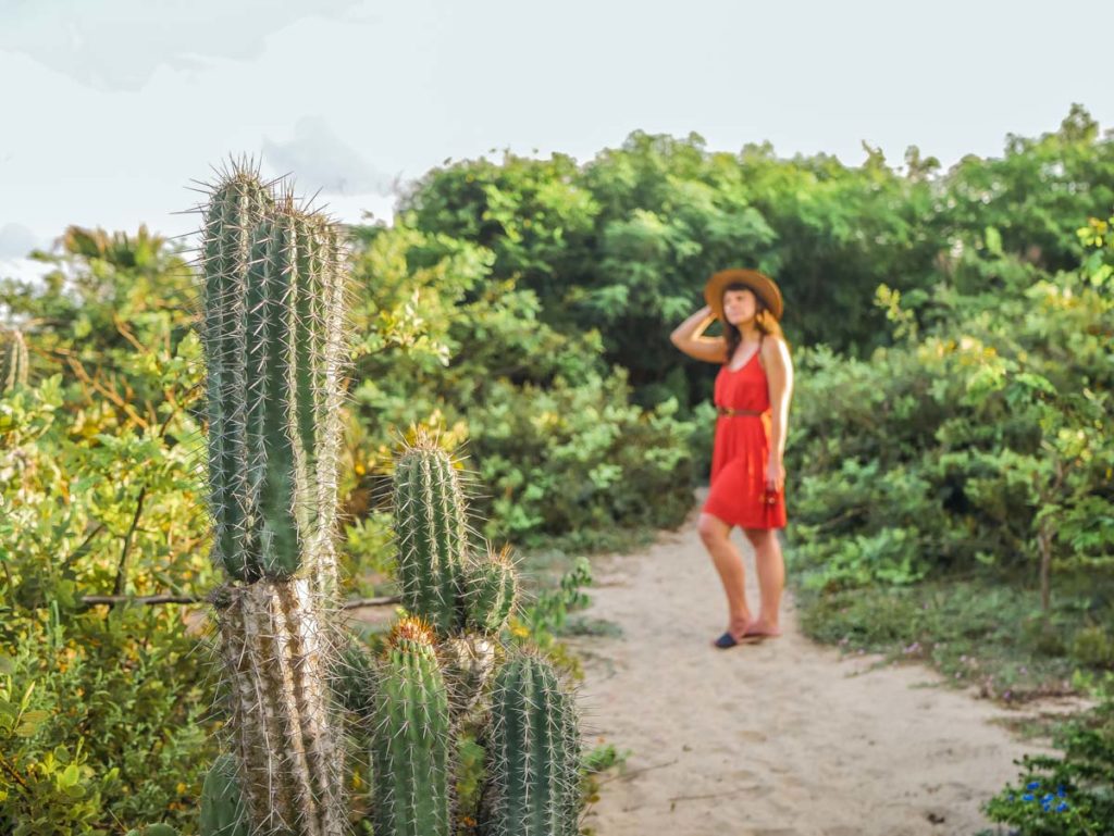 surrounded by nature in punta pajaros