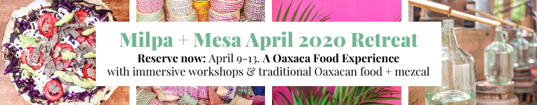 Milpa + Mesa website banner oaxaca food tour oaxaca retreat (1)