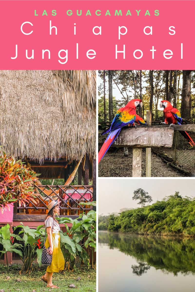 chiapas jungle hotel las guacamayas pinterest 2LR