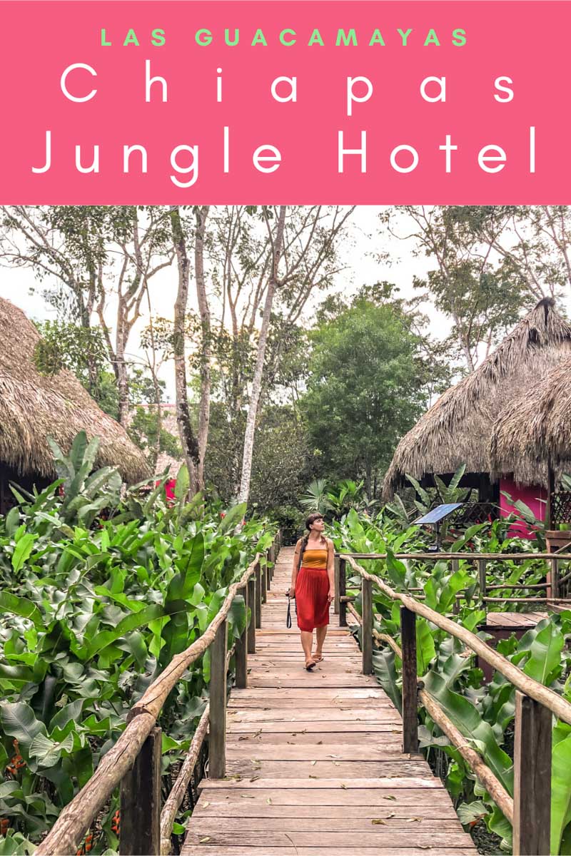 chiapas jungle hotel las guacamayas pinterest 3LR