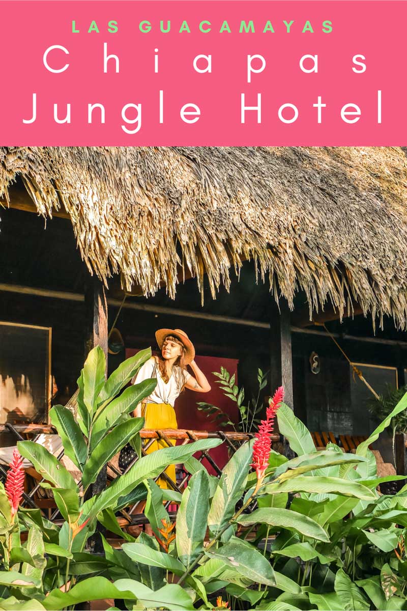 chiapas jungle hotel las guacamayas pinterest 5LR