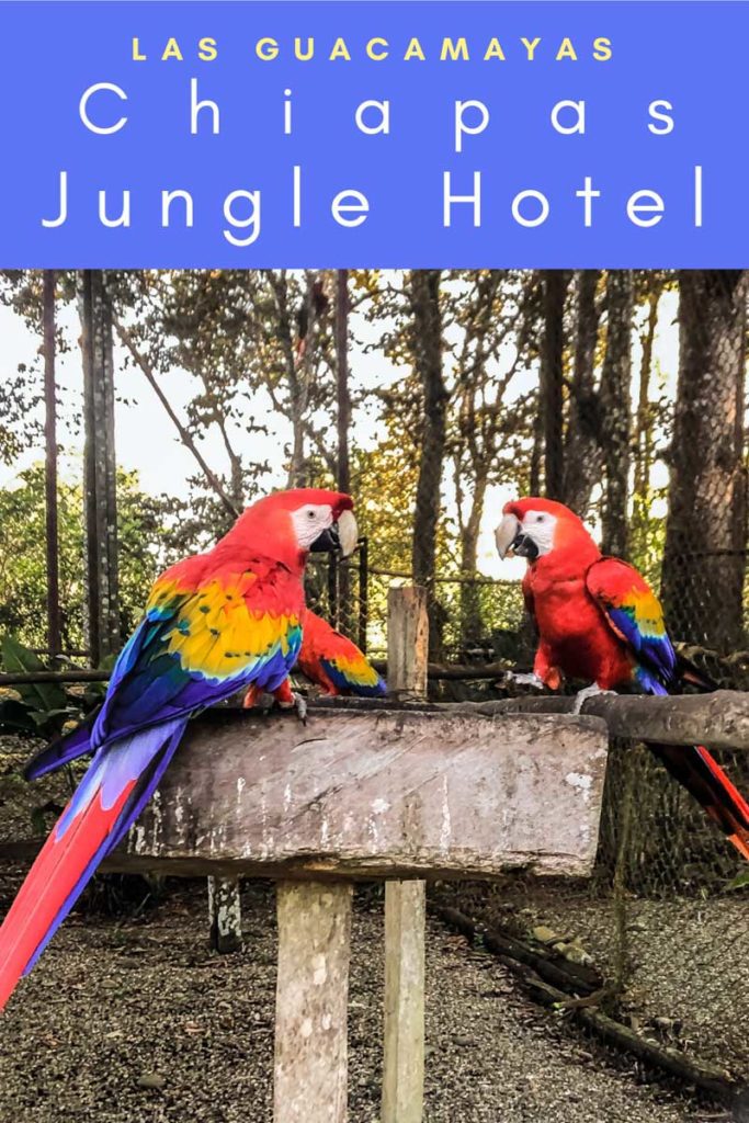 chiapas jungle hotel las guacamayas pinterest 6LR