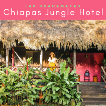 chiapas jungle hotel las guacamayas thumb