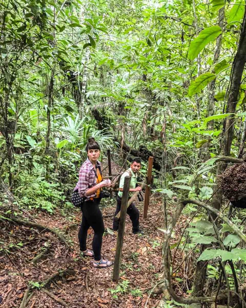 hiking in montes azules chiapas