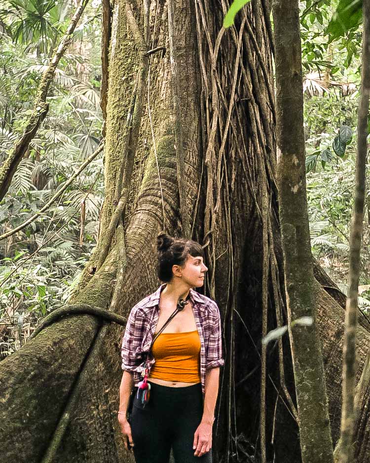 hiking in montes azules jungle in chiapas