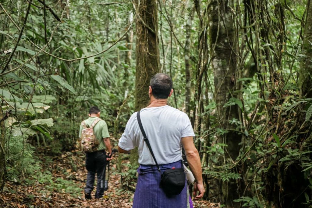 hiking tour of jungle lacandona montes selvas