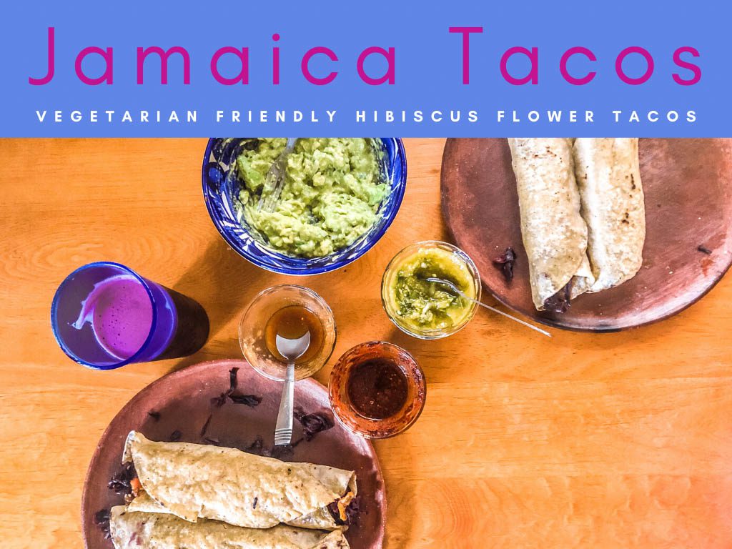 jamaica tacos hibiscus flower tacosLR