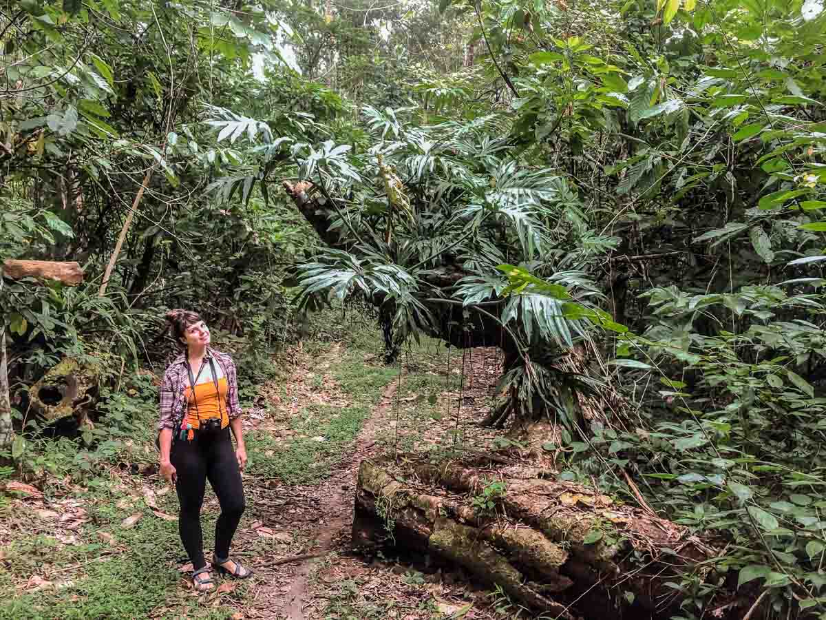 rainforest hike in chiapas jungle lacandona