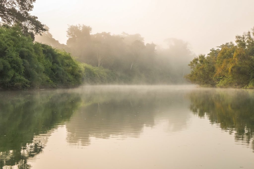 rio lacantun las guacamayas