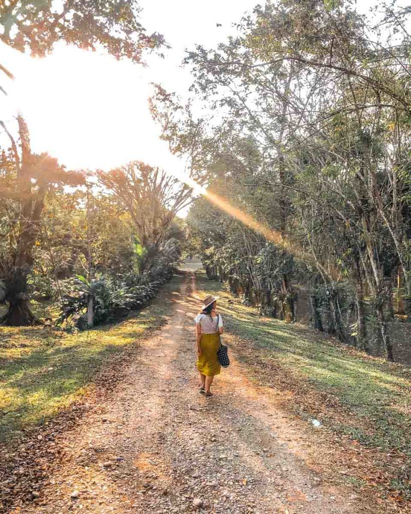 walking near hotel las guacamayas