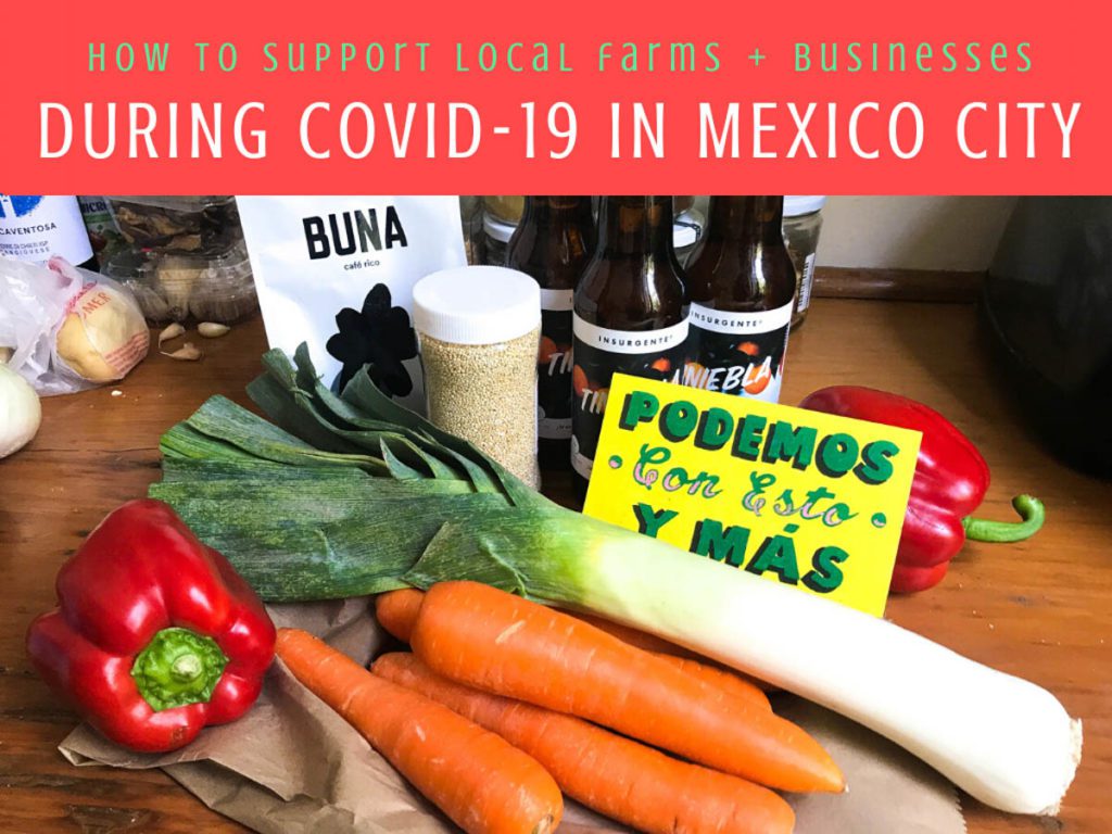 support small businesses during covid-19 in mexico city copyLR