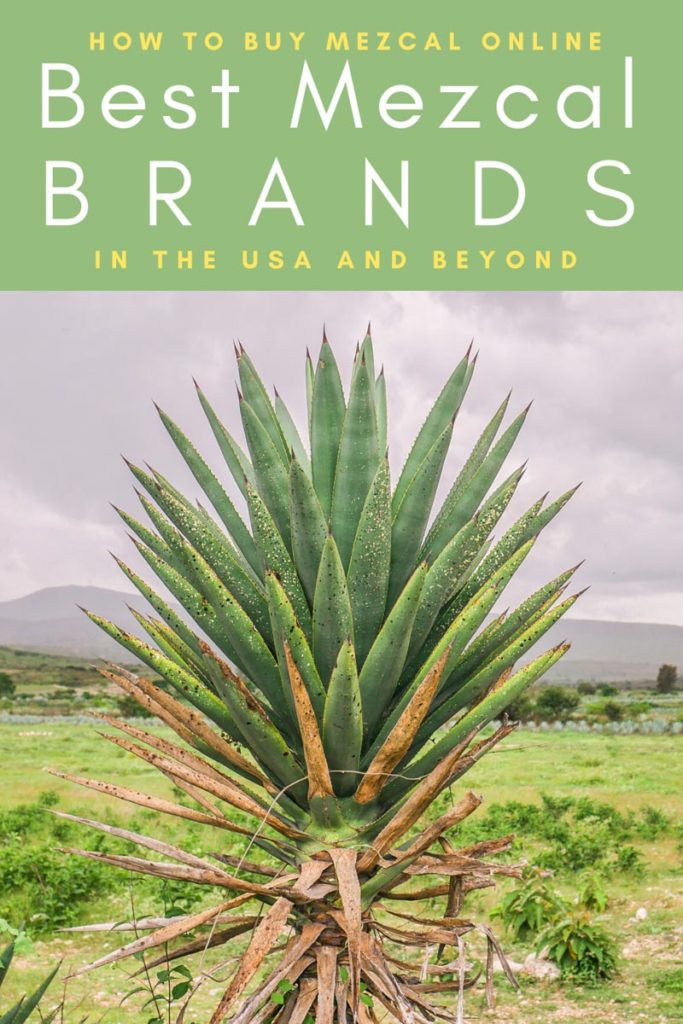 Copy of Copy of Copy of How to Buy Mezcal Online_ Best Mezcal Brands in the USA (1) copyLR