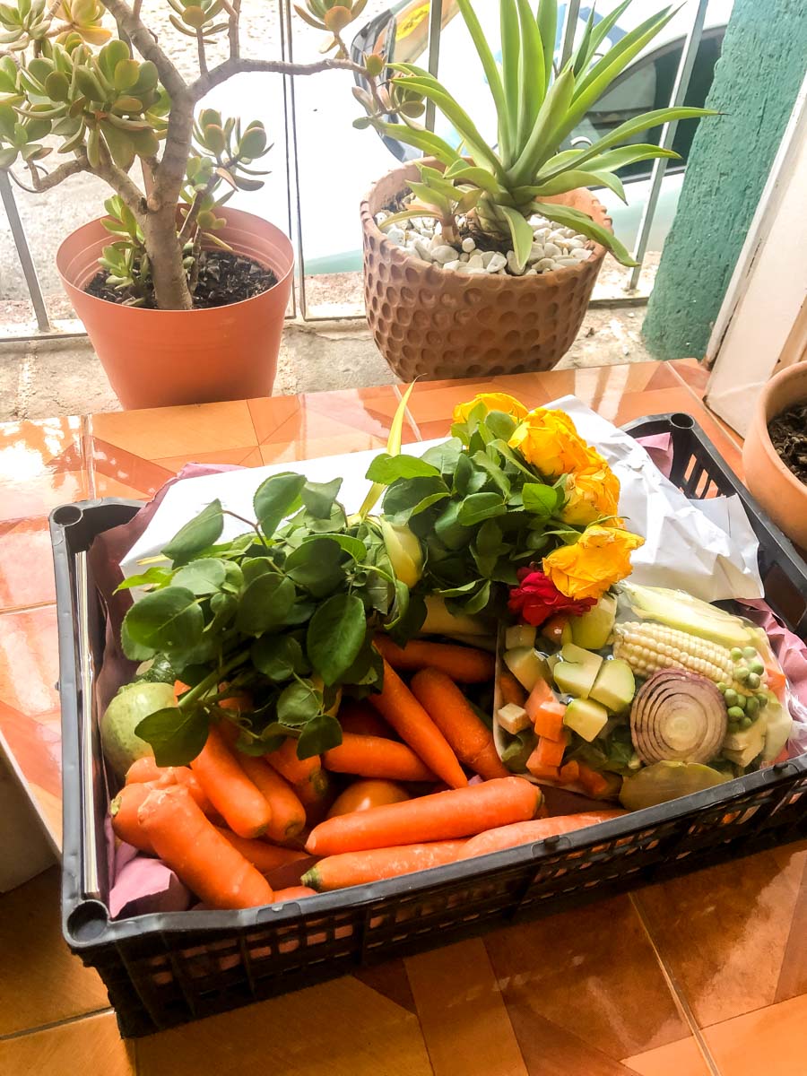 oaxaca during covid19 huacal produce delivery Brooklyn Tropicali