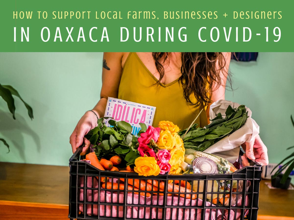 support local farms businesses designers in oaxaca during covid-19LR