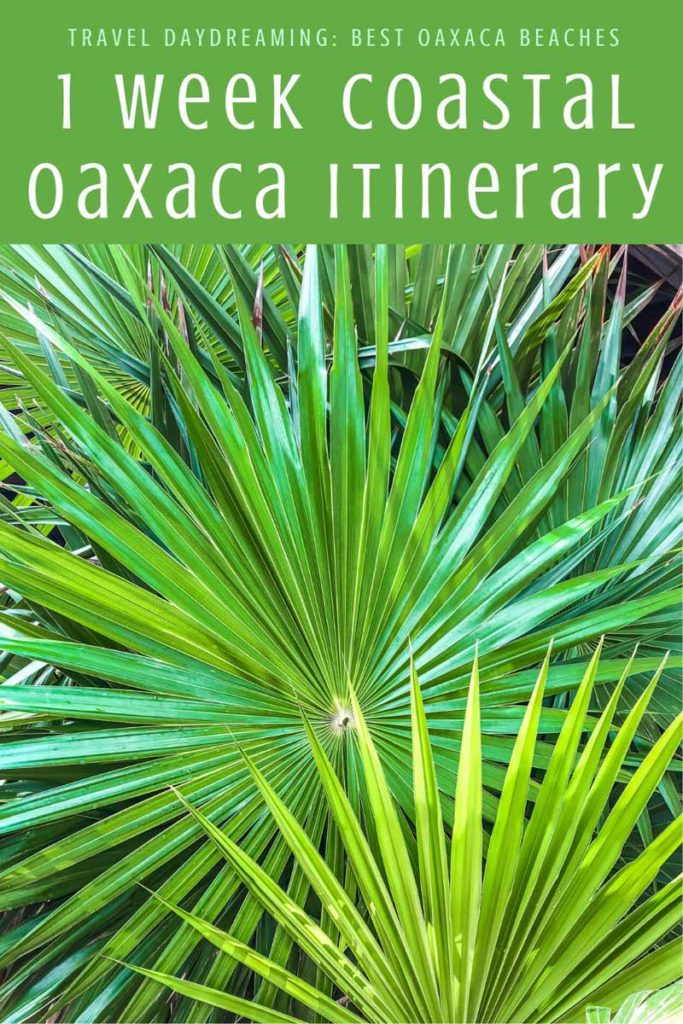 Copy of Copy of Copy of 1 week coastal oaxaca itinerary best oaxaca beaches (1) copyLR