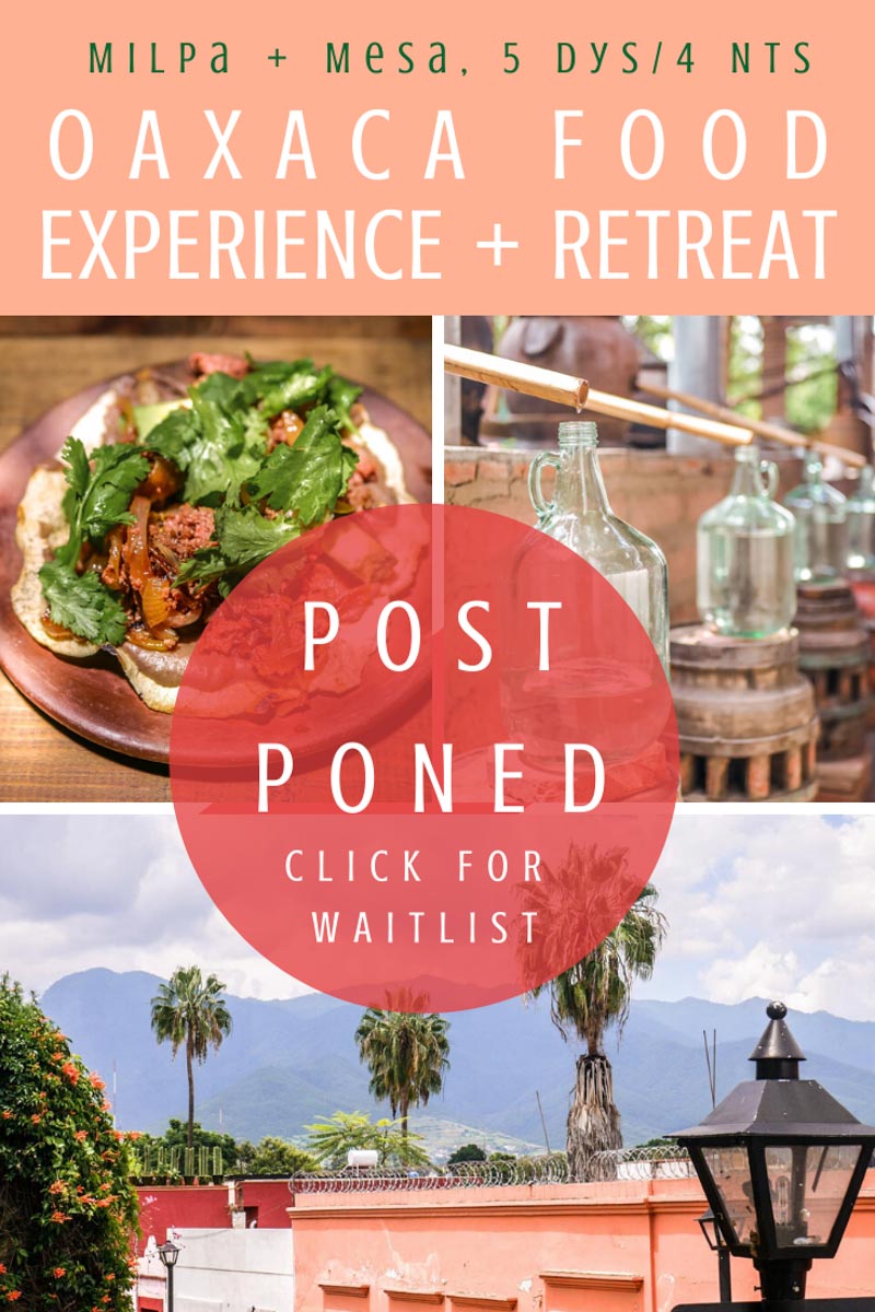 oaxaca retreat food experience