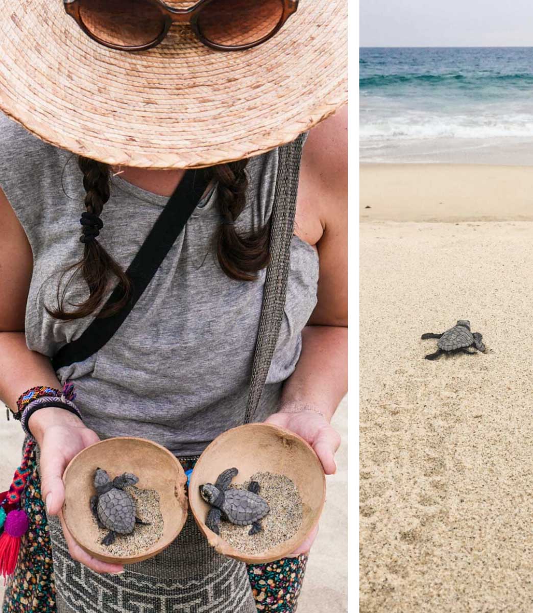 best oaxaca beaches playa bacocho