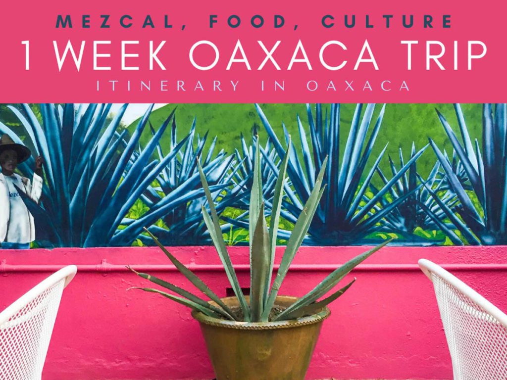 oaxaca trip itinerary