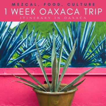 Copy of 1 week oaxaca trip_ itinerary in oaxaca (1)LRLR