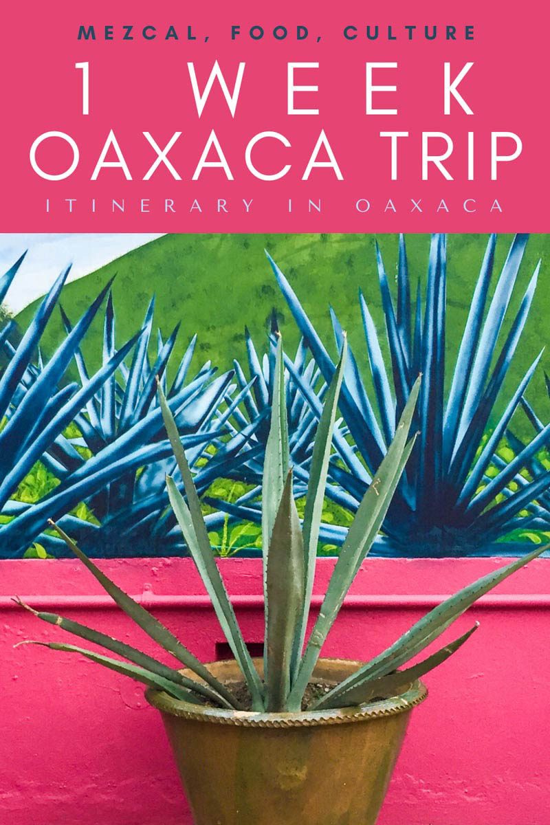 Copy of 1 week oaxaca trip_ itinerary in oaxacaLRLR