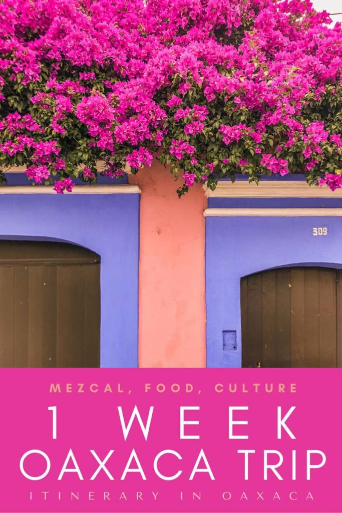 Copy of Copy of 1 week oaxaca trip_ itinerary in oaxacaLRLR