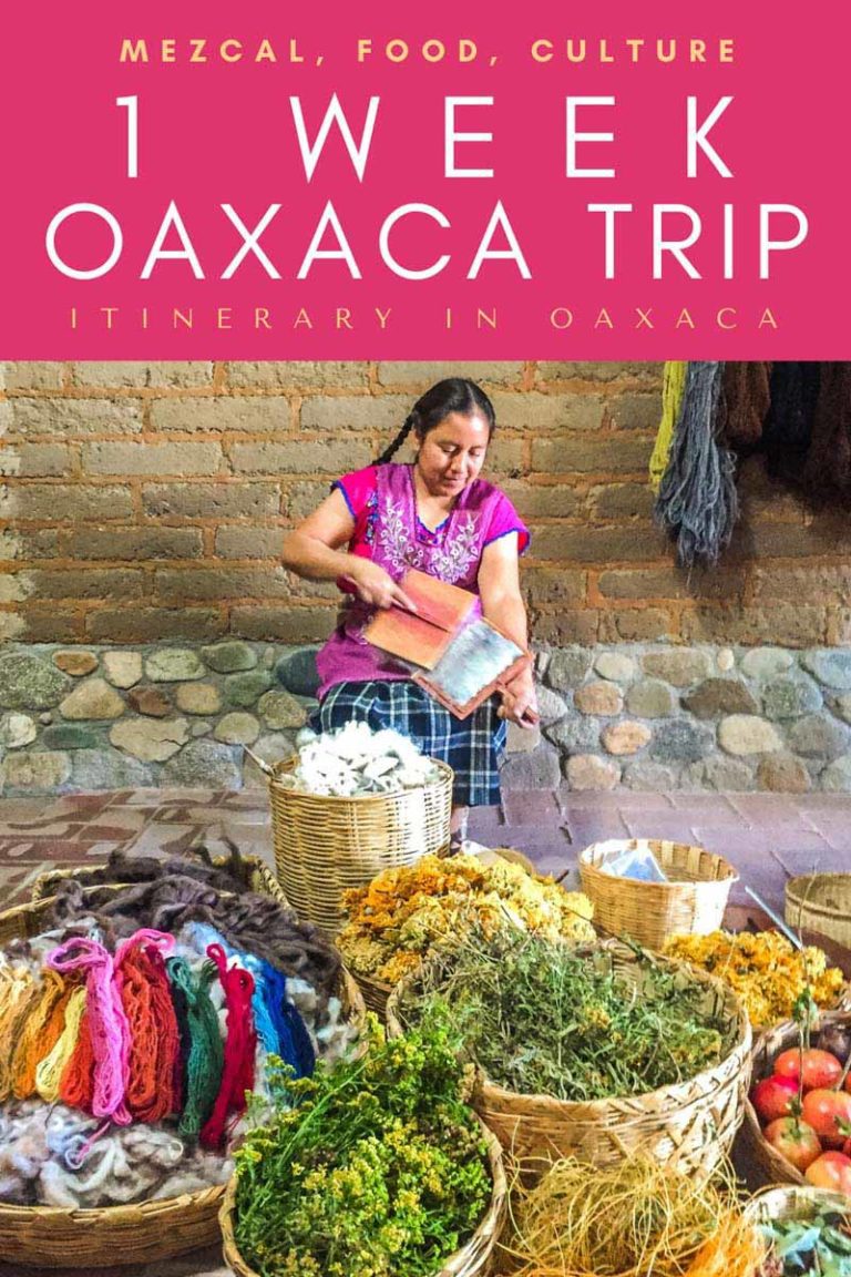 oaxaca trip itinerary